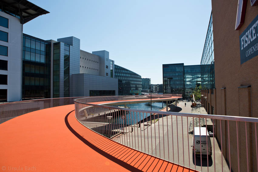 10346365_495178920609612_8872611519816844158_n