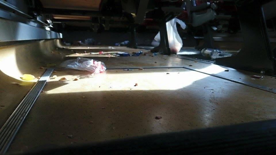 10846119_10203882245959677_8174860415595830422_n