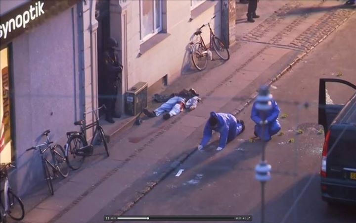 10921701_10205125062597606_1941222885_n