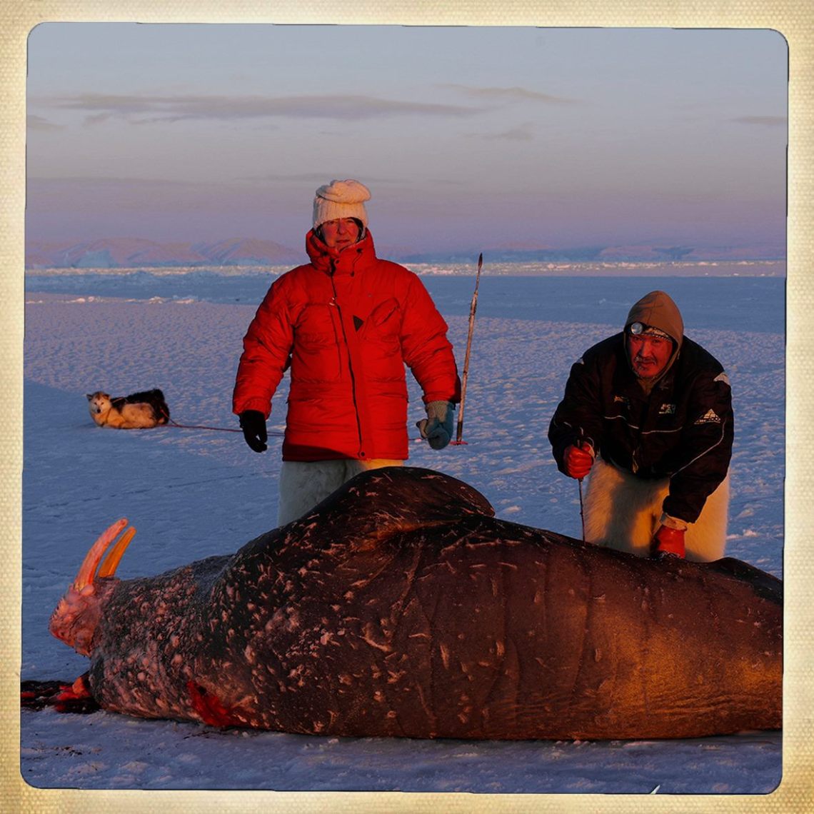 10991689_10153175960301435_1764145958479336182_o