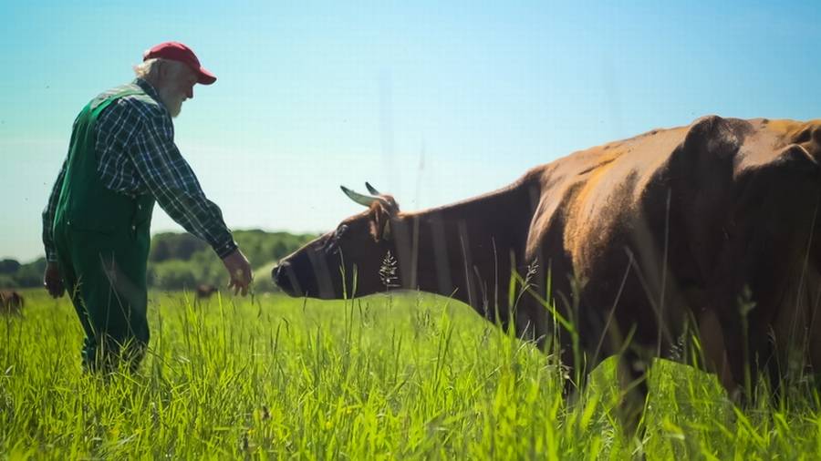 SÅ MEGET GODT I VENTE
