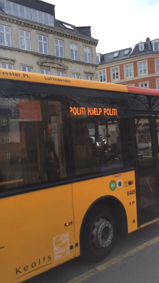 19604_10206591318840836_2375733071839557260_n