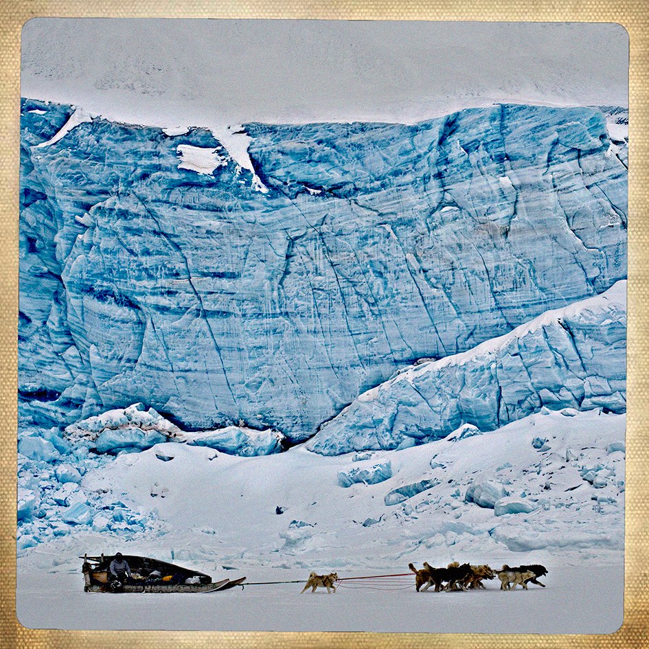 11217975_10153379453811435_3487970184370310135_n