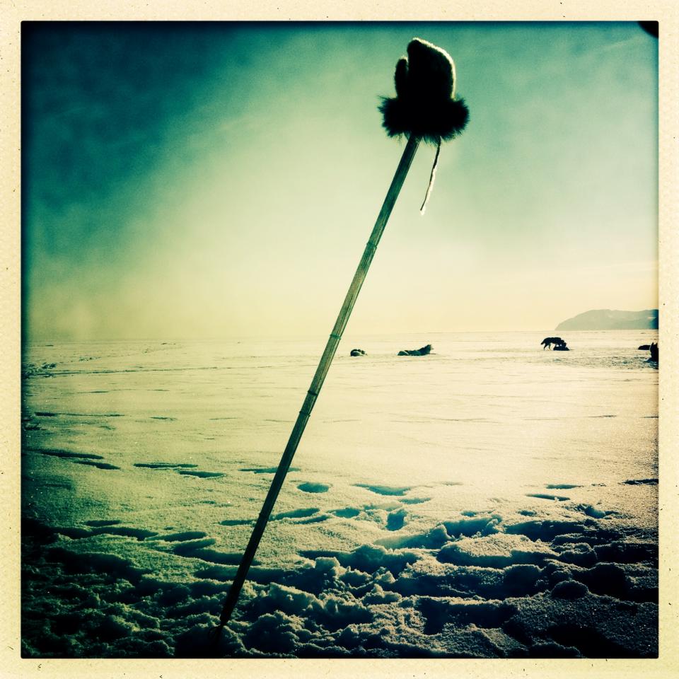 11263032_10153399833296435_656700246996804680_n