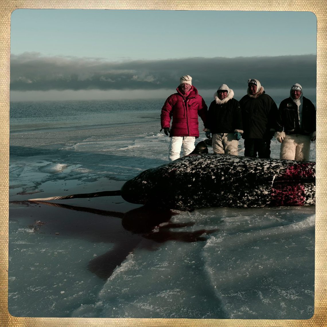 1402281_10153367385586435_3587550557638349835_o