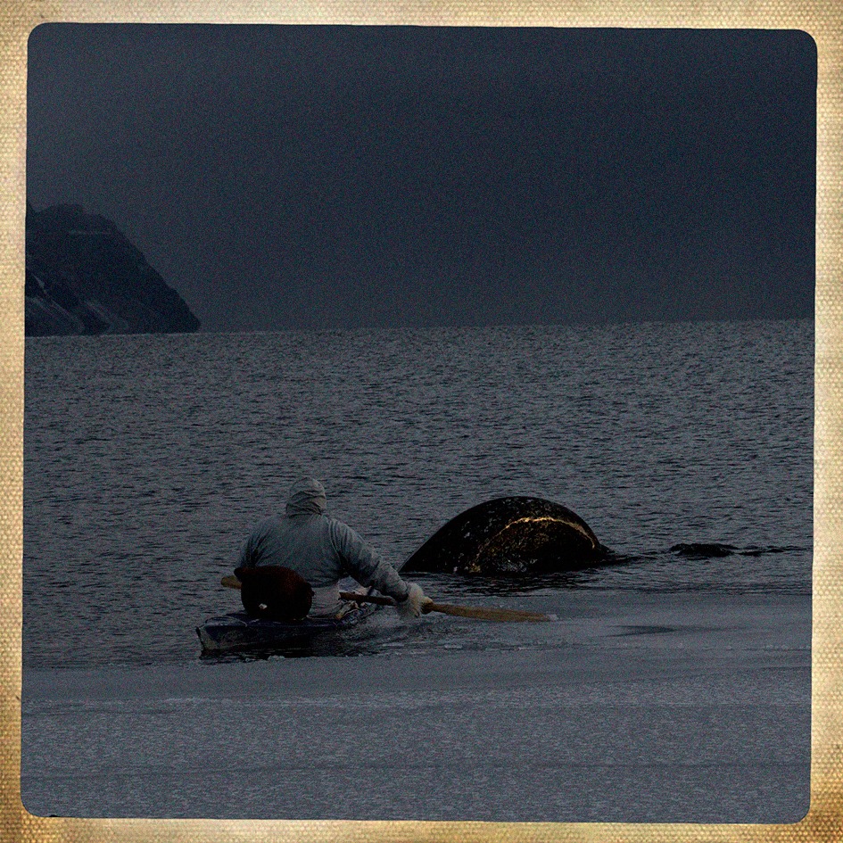 18806_10153363418316435_2163282479253476391_n