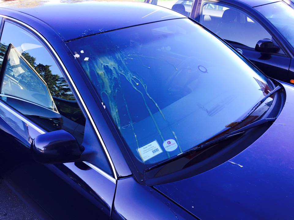 11935075_491551317690371_8193191295183985465_n