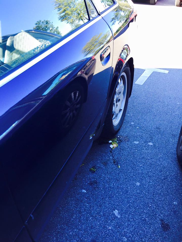 11986593_491551327690370_2336399801544575063_n