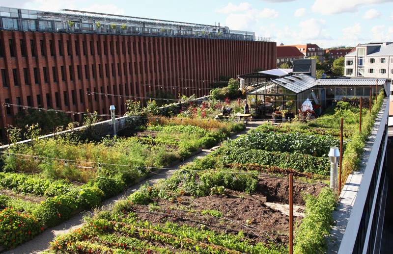 12079153_10152974857101261_8105773903929298899_n