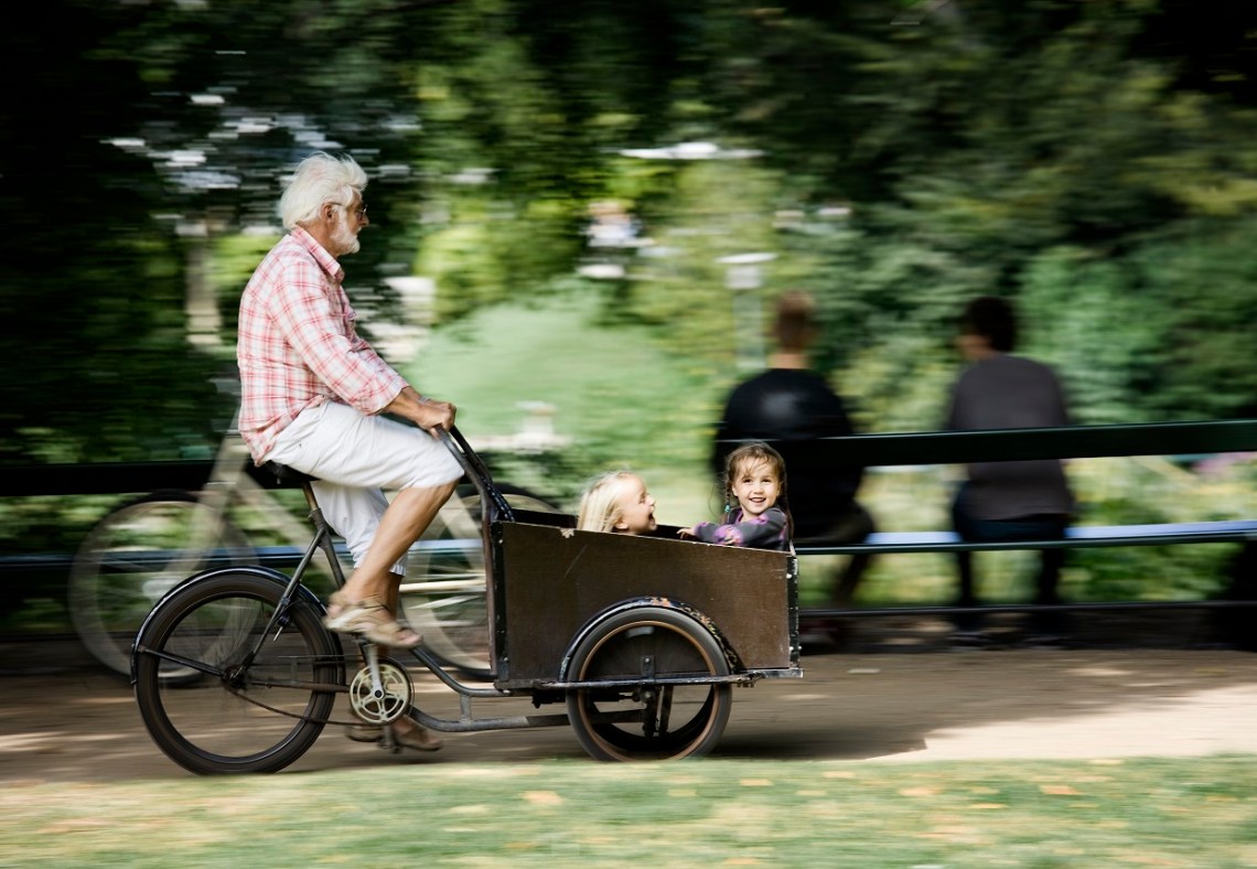 meet-the-danes-ex.-1