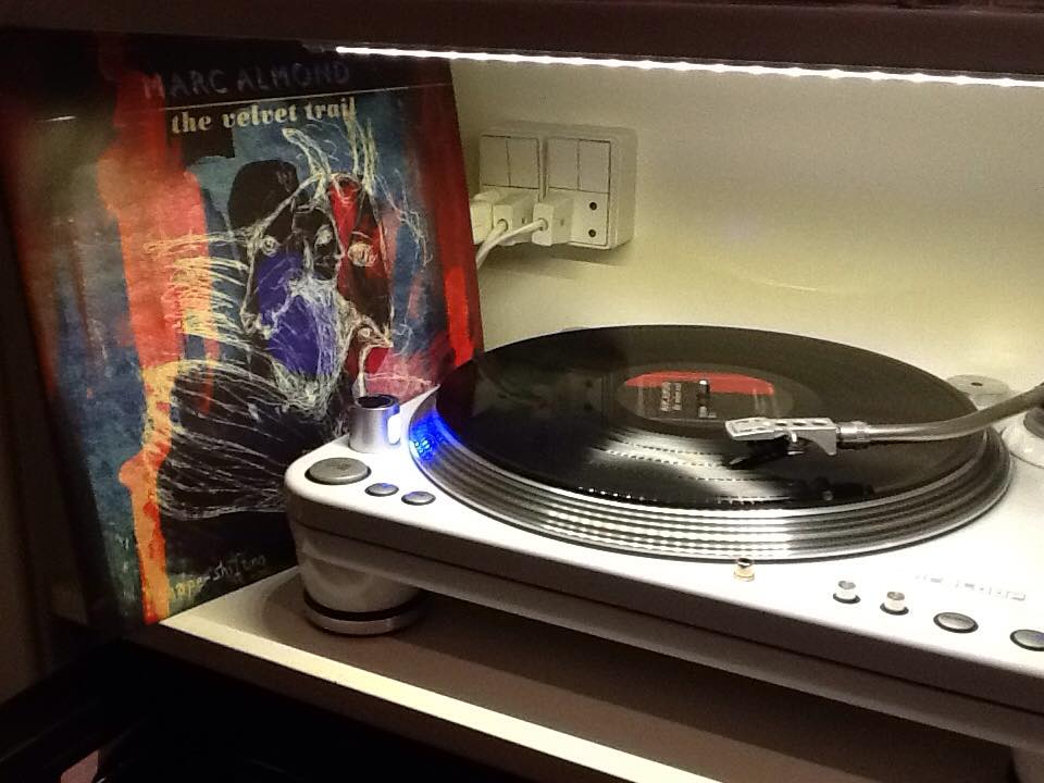 1186122_10206750712180822_1181725638545749507_n