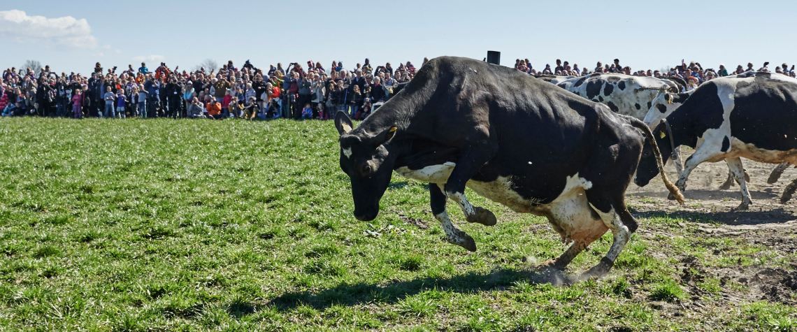 okodag---hero-billede