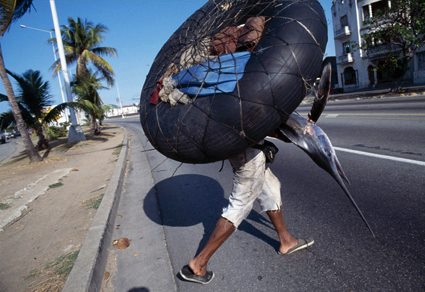 15267678_10154922112586435_101496783983353961_n