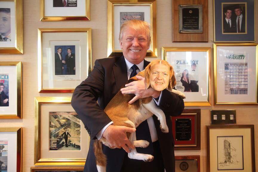 17626258_1809224996071294_3805211015096115669_n